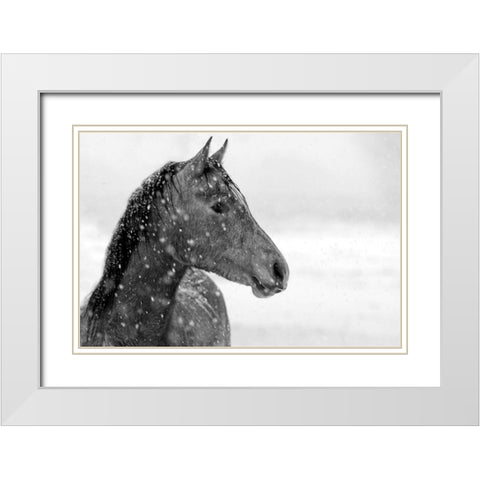 Winter Snow White Modern Wood Framed Art Print with Double Matting by The Yellowstone Collection