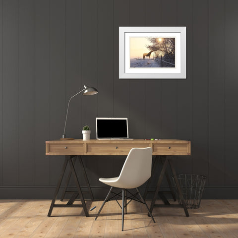 Winter Treat White Modern Wood Framed Art Print with Double Matting by The Yellowstone Collection