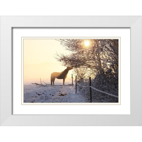 Winter Treat White Modern Wood Framed Art Print with Double Matting by The Yellowstone Collection