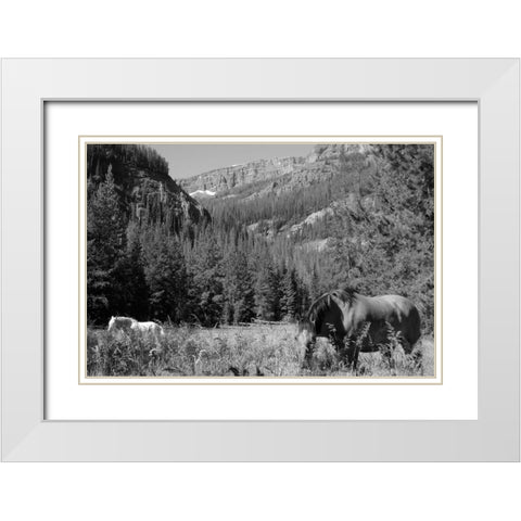 Younts Peak, Cody, Wyoming White Modern Wood Framed Art Print with Double Matting by The Yellowstone Collection