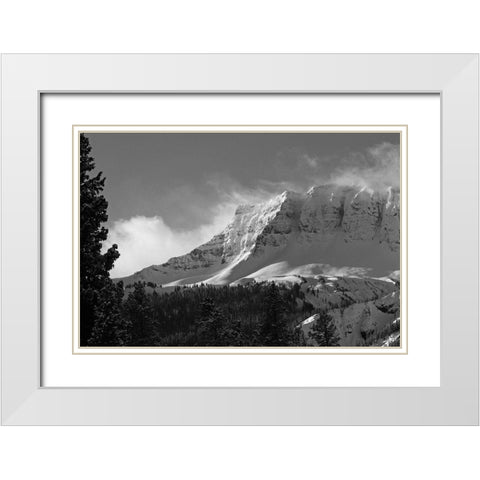Amphitheater Mountain, Yellowstone National Park White Modern Wood Framed Art Print with Double Matting by Peaco, Jim