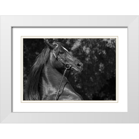A Mighty Warrior White Modern Wood Framed Art Print with Double Matting by The Yellowstone Collection