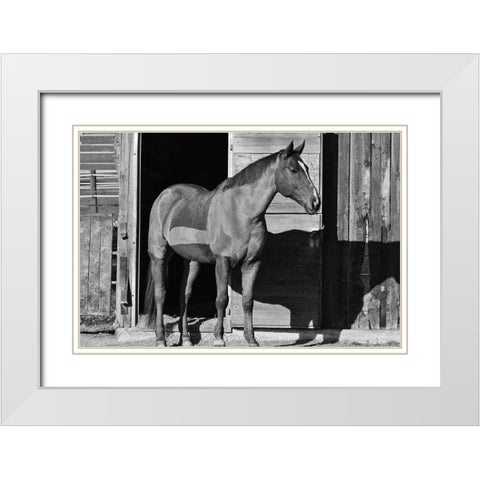 Afternoon Shadow White Modern Wood Framed Art Print with Double Matting by The Yellowstone Collection