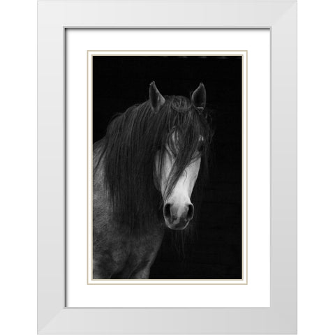 Andalusian White Modern Wood Framed Art Print with Double Matting by The Yellowstone Collection