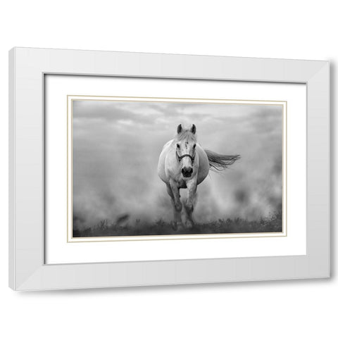 Approaching White White Modern Wood Framed Art Print with Double Matting by The Yellowstone Collection