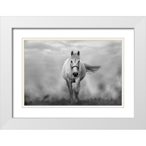 Approaching White White Modern Wood Framed Art Print with Double Matting by The Yellowstone Collection