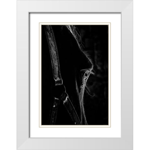 Black as Night White Modern Wood Framed Art Print with Double Matting by The Yellowstone Collection