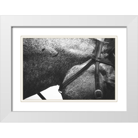 Bridle White Modern Wood Framed Art Print with Double Matting by The Yellowstone Collection