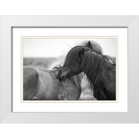 Close Friends White Modern Wood Framed Art Print with Double Matting by The Yellowstone Collection