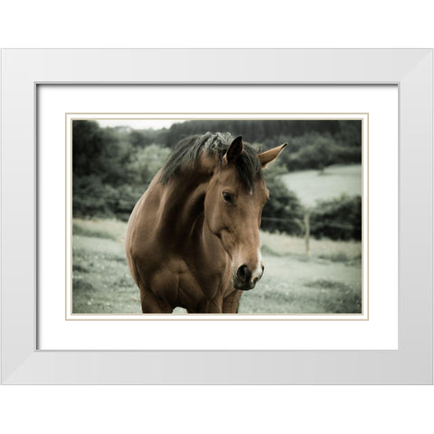 Curiosity White Modern Wood Framed Art Print with Double Matting by The Yellowstone Collection