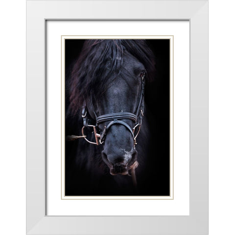 Equus White Modern Wood Framed Art Print with Double Matting by The Yellowstone Collection