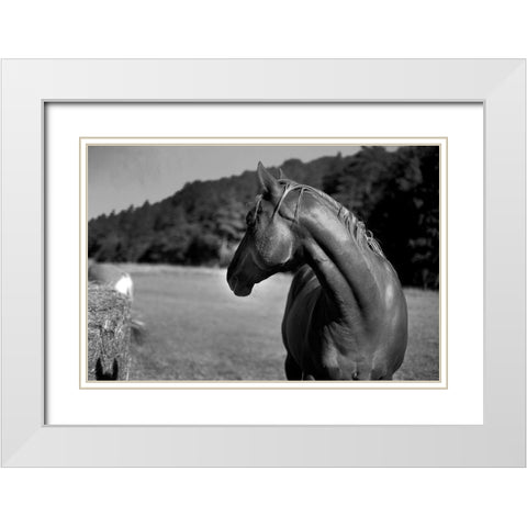 Follow Me White Modern Wood Framed Art Print with Double Matting by The Yellowstone Collection