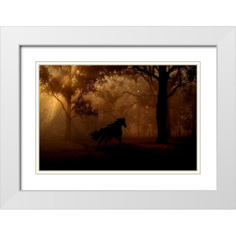 Forest Shadows White Modern Wood Framed Art Print with Double Matting by The Yellowstone Collection