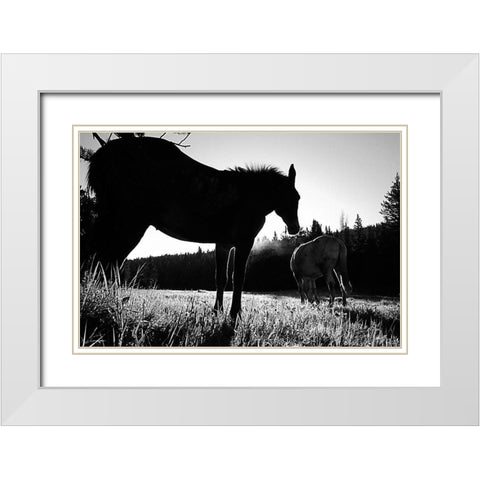 Frank Church-River of No Return Wilderness, Payette National Forest II White Modern Wood Framed Art Print with Double Matting by The Yellowstone Collection