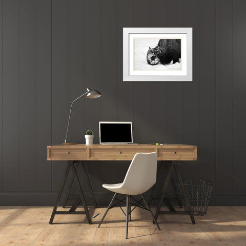 Bison Snow Plough near Rainy Lake, Yellowstone National Park White Modern Wood Framed Art Print with Double Matting by Renkin, Diane