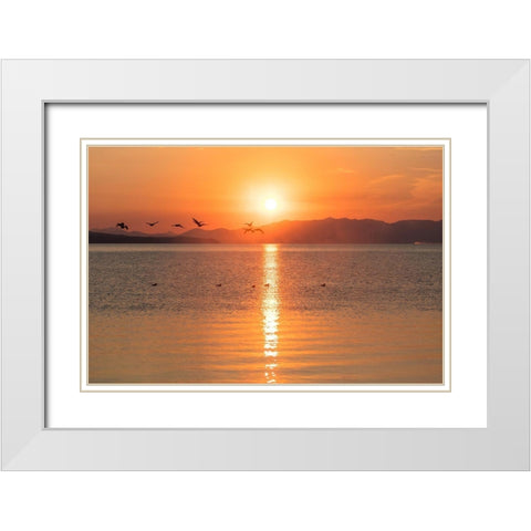 Canada Geese on Yellowstone Lake, Yellowstone National Park White Modern Wood Framed Art Print with Double Matting by The Yellowstone Collection