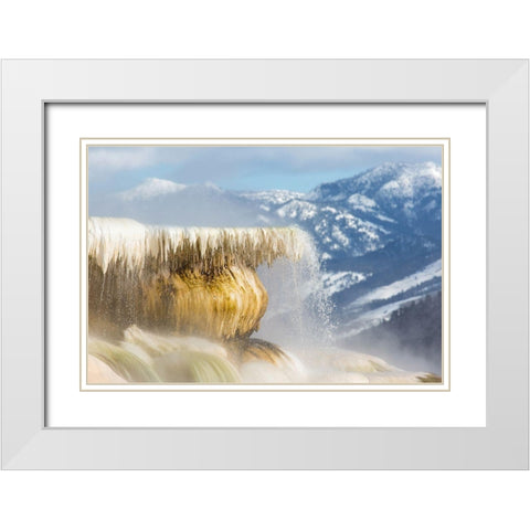 Canary Spring, Mammoth Hot Springs, Yellowstone National Park White Modern Wood Framed Art Print with Double Matting by The Yellowstone Collection