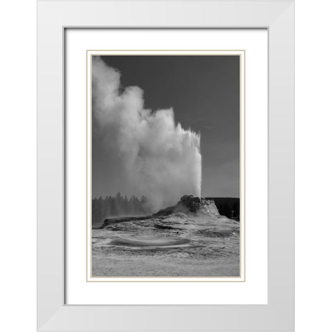 Castle Geyser, Yellowstone National Park White Modern Wood Framed Art Print with Double Matting by Renkin, Diane