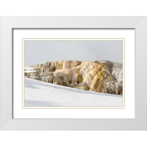 Cleopatra Spring, Mammoth Hot Springs, Yellowstone National Park White Modern Wood Framed Art Print with Double Matting by The Yellowstone Collection