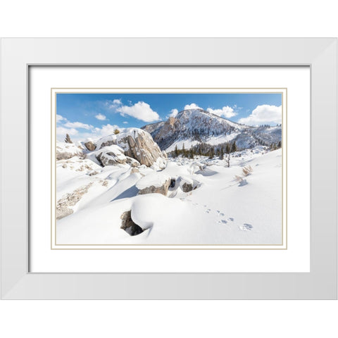 Coyote tracks in the Hoodoos, Yellowstone National Park White Modern Wood Framed Art Print with Double Matting by The Yellowstone Collection