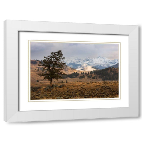 Cutoff Mountain from Lamar Valley, Yellowstone National Park White Modern Wood Framed Art Print with Double Matting by The Yellowstone Collection