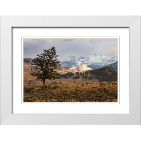 Cutoff Mountain from Lamar Valley, Yellowstone National Park White Modern Wood Framed Art Print with Double Matting by The Yellowstone Collection