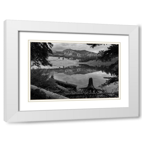 Early Morning at Trout Lake, Yellowstone National Park White Modern Wood Framed Art Print with Double Matting by The Yellowstone Collection