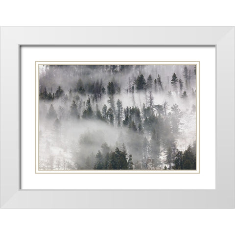 Fog in Lamar Valley, Yellowstone National Park White Modern Wood Framed Art Print with Double Matting by The Yellowstone Collection