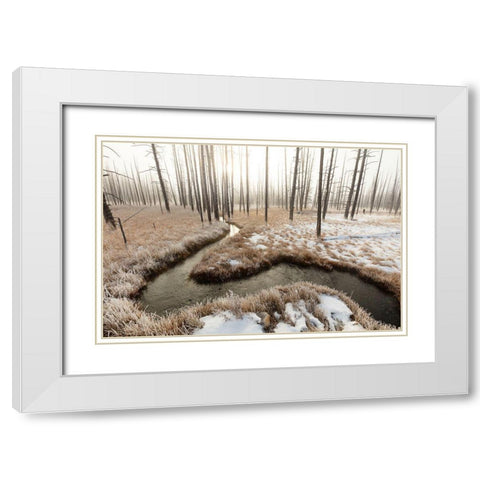 Foggy Morning at Tangled Creek, Yellowstone National Park White Modern Wood Framed Art Print with Double Matting by The Yellowstone Collection