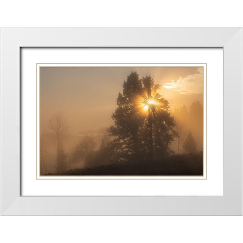 Foggy Sunrise, Blacktail Deer Plateau, Yellowstone National Park White Modern Wood Framed Art Print with Double Matting by The Yellowstone Collection