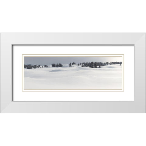 Fresh Snow, Blacktail Deer Plateau, Yellowstone National Park White Modern Wood Framed Art Print with Double Matting by The Yellowstone Collection