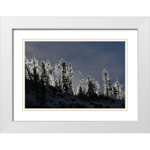Frosted Trees in Gibbon Canyon, Yellowstone National Park White Modern Wood Framed Art Print with Double Matting by Peaco, Jim