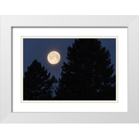 Full Moon sets Over Sepulcher Mountain, Yellowstone National Park White Modern Wood Framed Art Print with Double Matting by The Yellowstone Collection