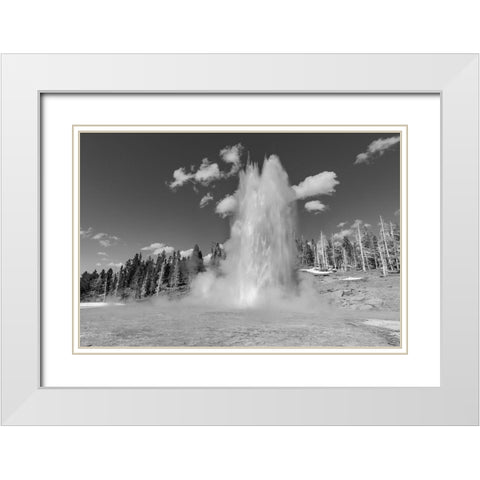 Grand Geyser Eruption, Yellowstone National Park White Modern Wood Framed Art Print with Double Matting by The Yellowstone Collection