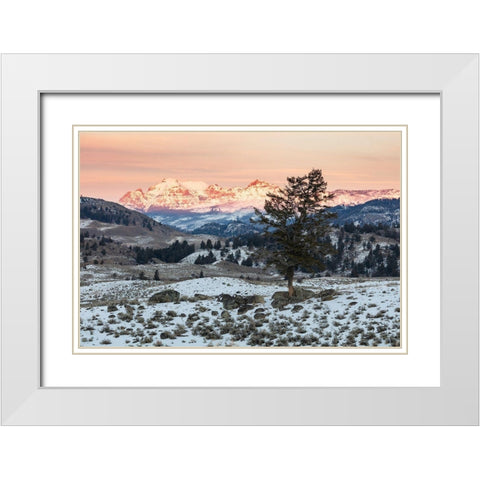 Last light on Cutoff Mountain, Yellowstone National Park White Modern Wood Framed Art Print with Double Matting by The Yellowstone Collection