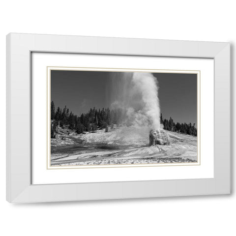 Lone Star Geyser, Yellowstone National Park White Modern Wood Framed Art Print with Double Matting by Frank, Jacob W.