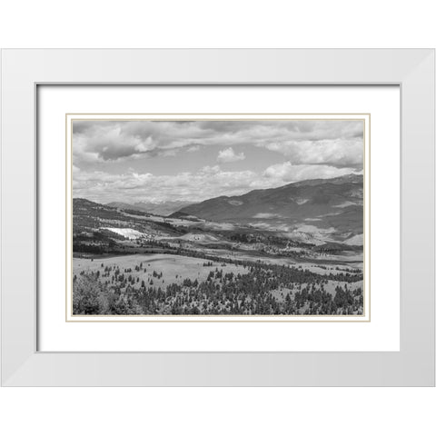Mammoth Hot Springs, Yellowstone National Park White Modern Wood Framed Art Print with Double Matting by The Yellowstone Collection