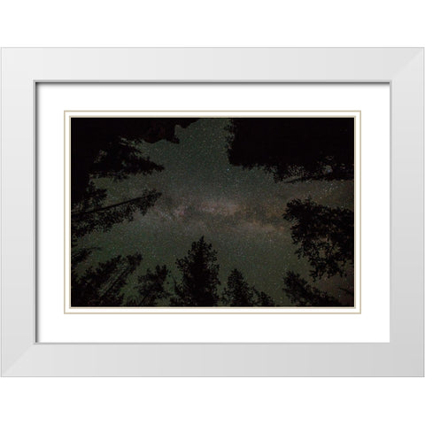 Milky Way and Lodgepole Pines, Yellowstone National Park White Modern Wood Framed Art Print with Double Matting by The Yellowstone Collection
