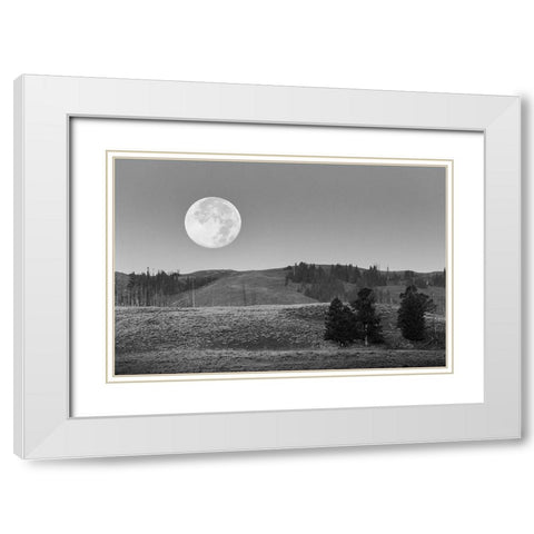 Moonset, Lamar Valley, Yellowstone National Park White Modern Wood Framed Art Print with Double Matting by Herbert, Neal