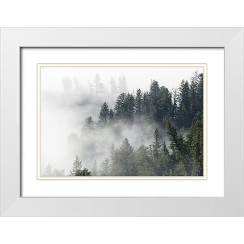 Morning Fog near Tower Fall, Yellowstone National Park White Modern Wood Framed Art Print with Double Matting by The Yellowstone Collection
