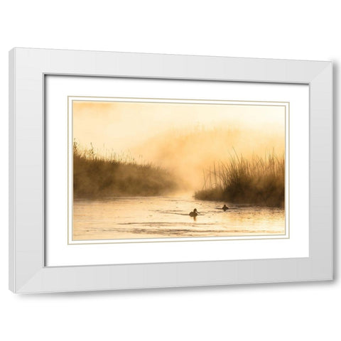 Morning Steam on the Madison River, Yellowstone National Park White Modern Wood Framed Art Print with Double Matting by The Yellowstone Collection