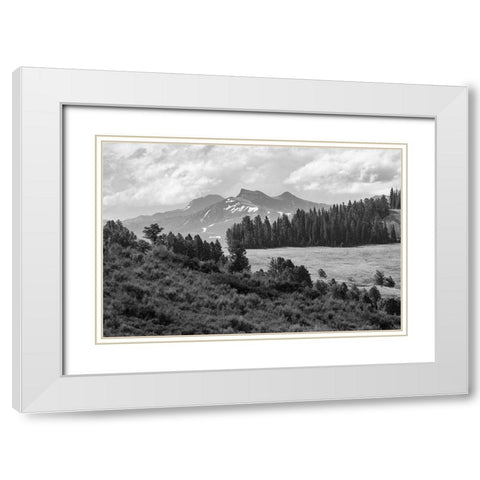 Saddle Mountain and Pollux Peak from Druid Peak hillside, Yellowstone National Park White Modern Wood Framed Art Print with Double Matting by Frank, Jacob W.