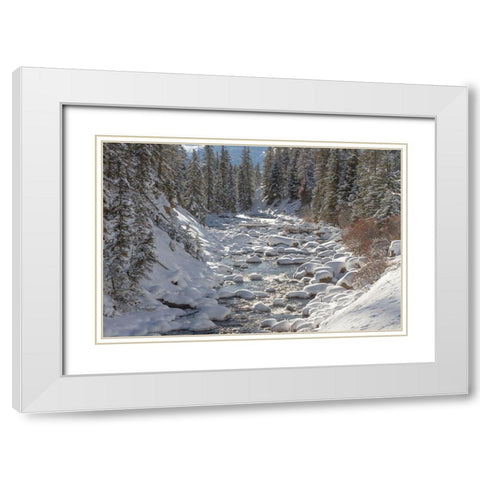 Soda Butte Creek, Yellowstone National Park White Modern Wood Framed Art Print with Double Matting by Renkin, Diane