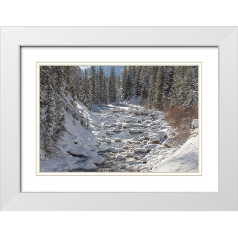 Soda Butte Creek, Yellowstone National Park White Modern Wood Framed Art Print with Double Matting by Renkin, Diane