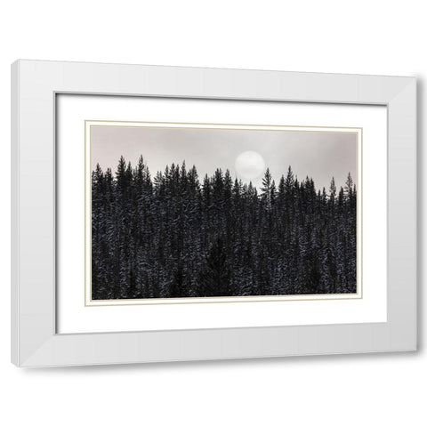 Sun through the Fog, Yellowstone National Park White Modern Wood Framed Art Print with Double Matting by The Yellowstone Collection
