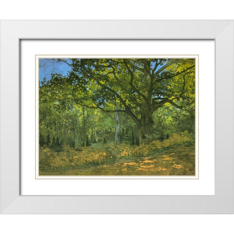 Bodmer Oak at Bas-Breau 1865 White Modern Wood Framed Art Print with Double Matting by Monet, Claude