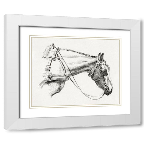Head of a Horse III 1820 White Modern Wood Framed Art Print with Double Matting by Bernard, Jean