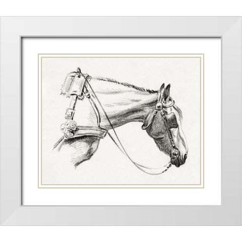 Head of a Horse III 1820 White Modern Wood Framed Art Print with Double Matting by Bernard, Jean