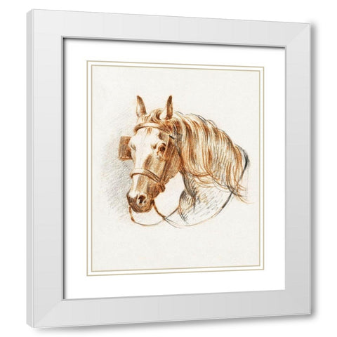 Head of a Horse IV  White Modern Wood Framed Art Print with Double Matting by Bernard, Jean