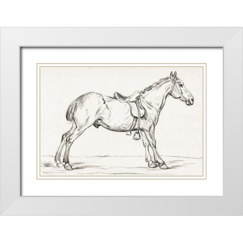 Saddled Horse 1823 White Modern Wood Framed Art Print with Double Matting by Bernard, Jean